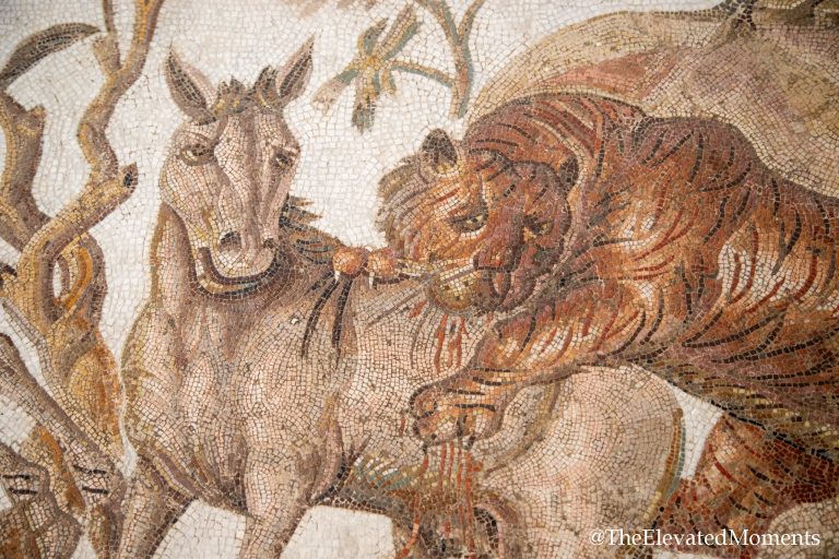 Photos from The Archaeological Museum in El Jem, Tunisia
